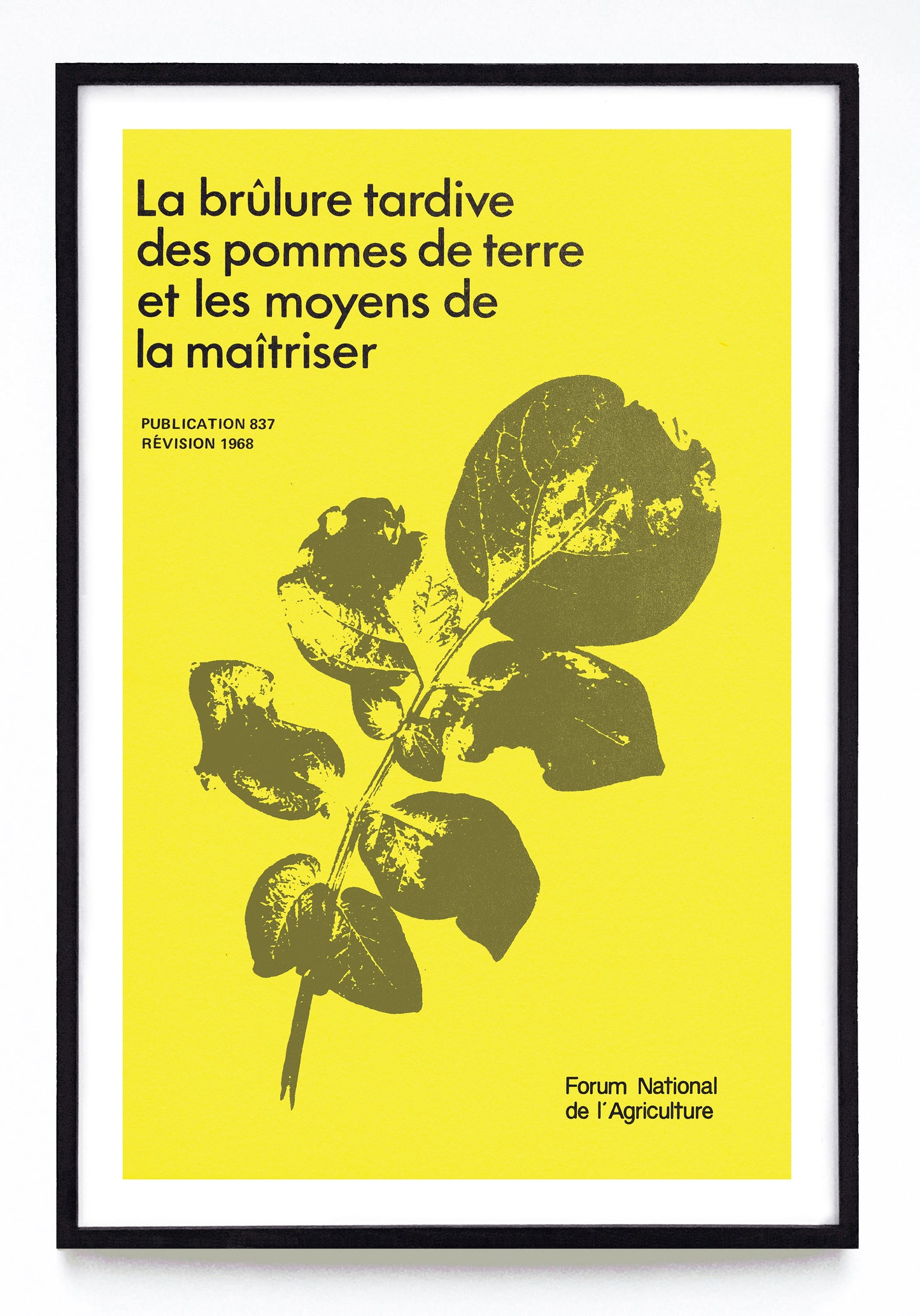 "Late Blight of Potatoes and Its Control" and "La Brulure Tardive des Pommes de Terre et les Moyens de la Maitriser" prints (1968)