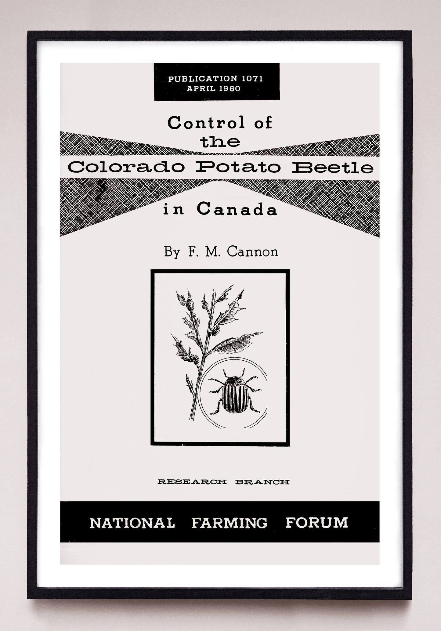 "Control of the Colorado Potato Beetle in Canada" print (1960)