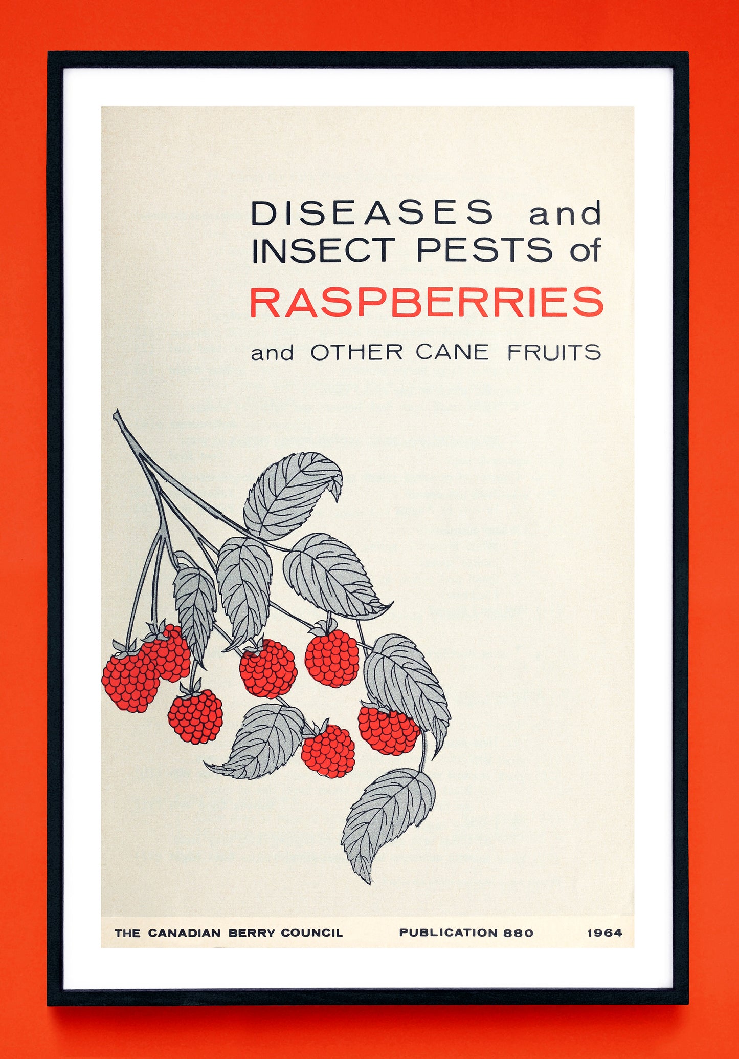"Diseases and Insect Pests of Raspberries and Other Cane Fruits" and "Maladies et Insectes des Framboisiers et Autres Ronces" prints (1964, 1965)
