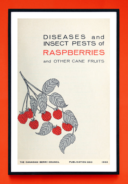 "Diseases and Insect Pests of Raspberries and Other Cane Fruits" prints (1964)