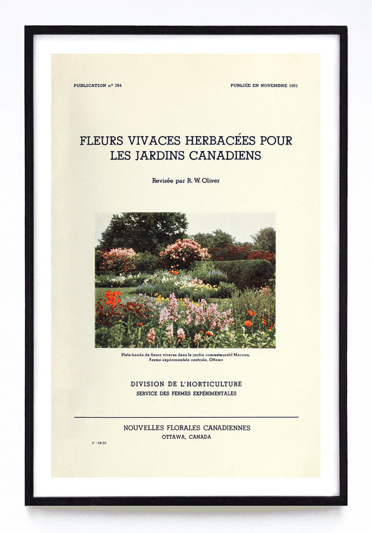 "Fleurs Vivaces Herbacées Pour Les Jardins Canadiens" print (1951)