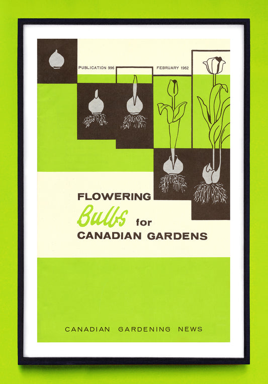 "Flowering Bulbs for Canadian Gardens" print (1962)