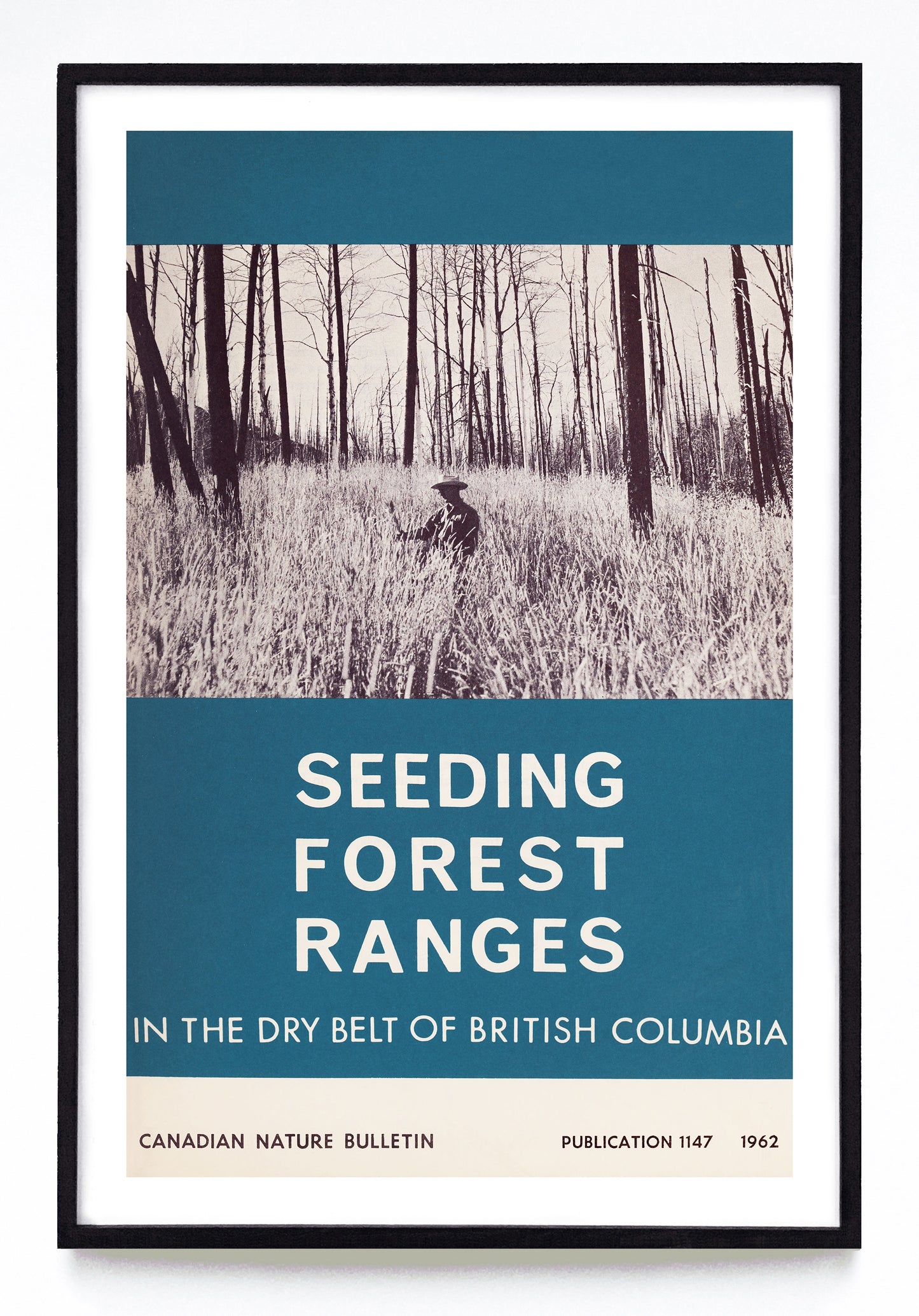 "Seeding Forest Ranges in the Dry Belt of British Columbia" print (1962)