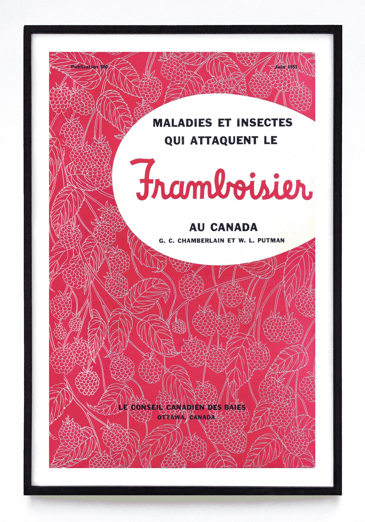 "Maladies et Insects Qui Attaquent le Framboisier" and "Diseases and Insect Pests of the Raspberry in Canada" prints (1953)
