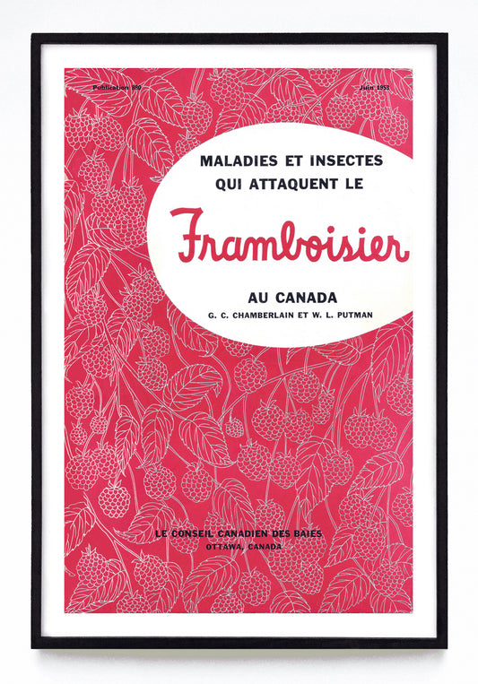 "Maladies et Insects Qui Attaquent le Framboisier" and "Diseases and Insect Pests of the Raspberry in Canada" prints (1953)