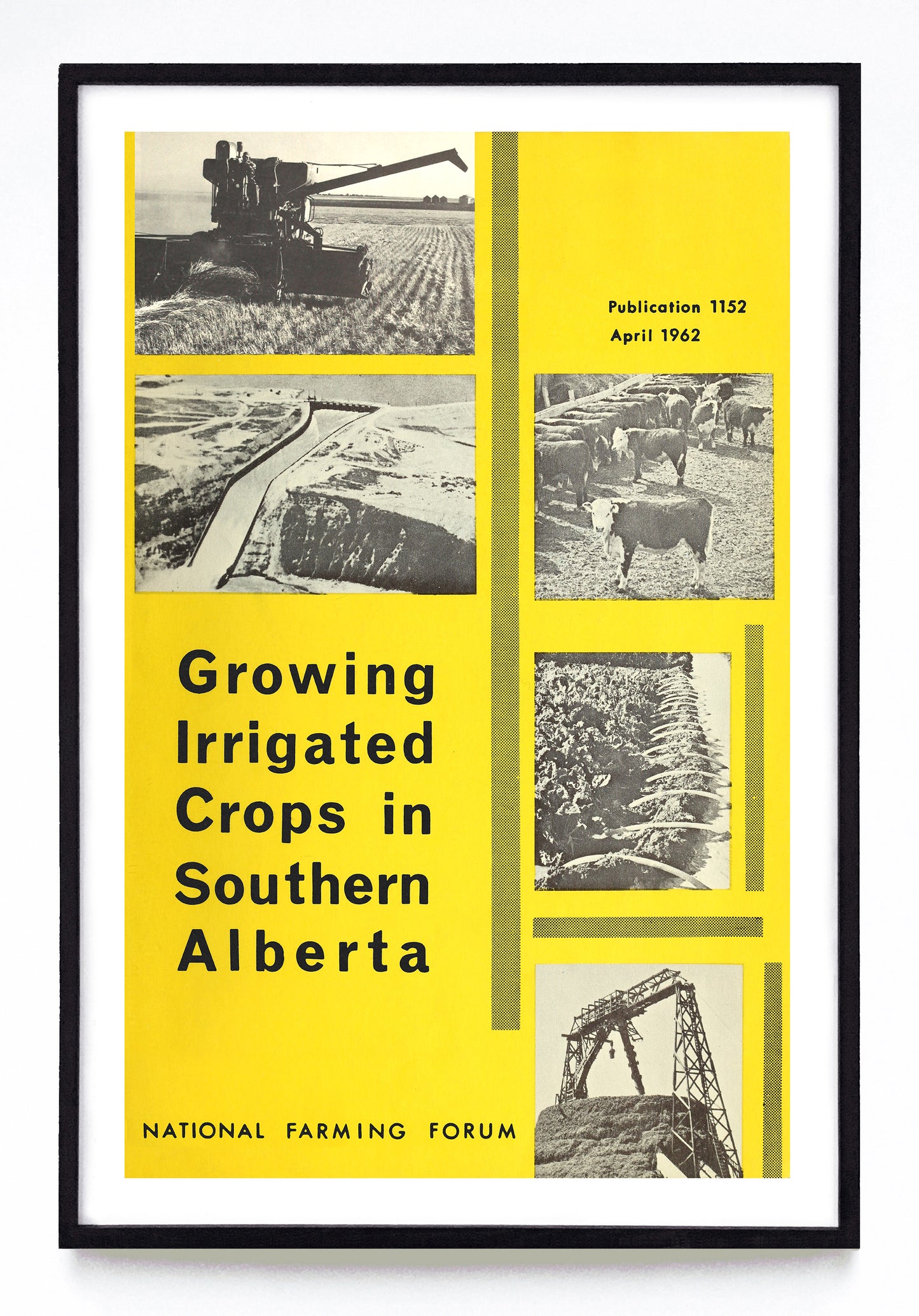 "Growing Irrigated Crops in Southern Alberta" print (1962)