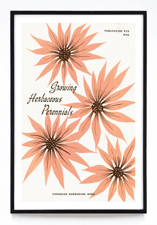"Growing Herbaceous Perennials" print (1956)