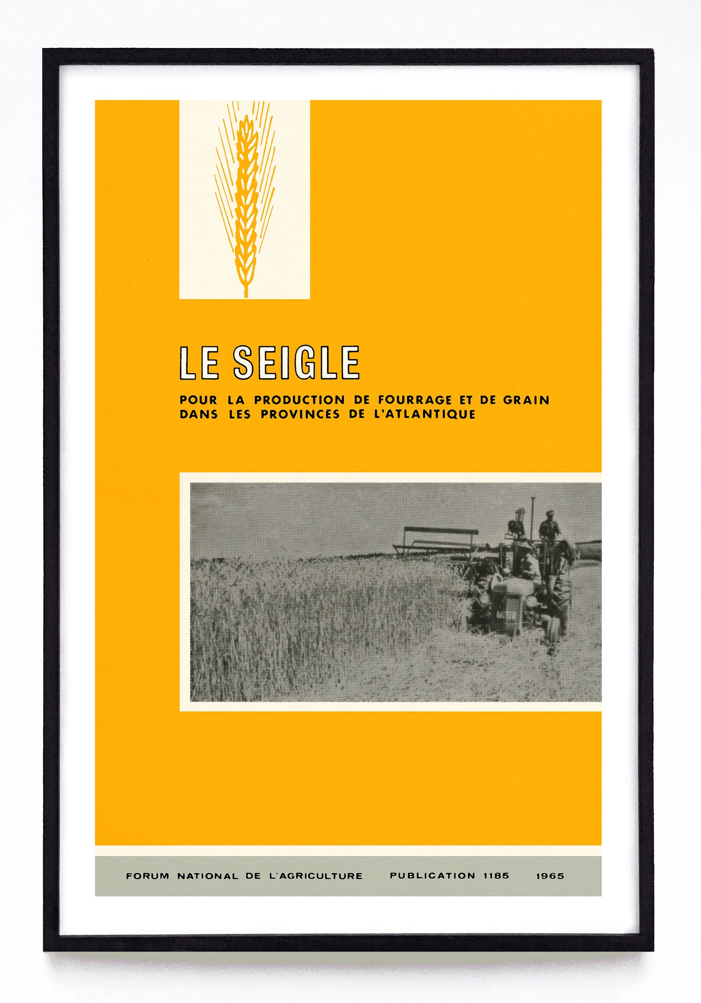 "La Siegle Pour la Production de Fourrage et de Grain Dans les Provinces de l'Atlantique" print (1965)