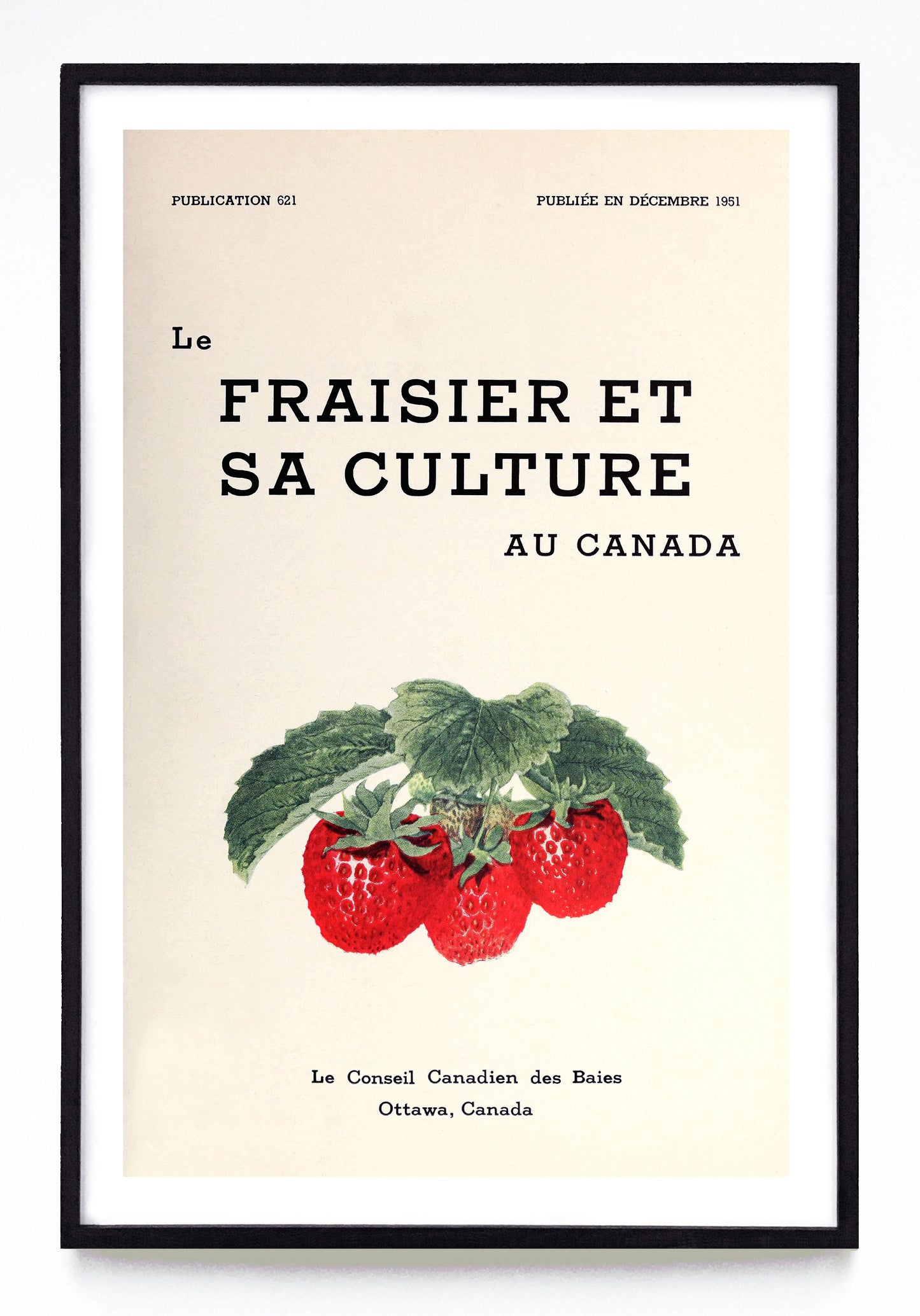 "The Strawberry and Its Cultivation in Canada" and "Le Fraisier et Sa Culture au Canada" prints (1951)