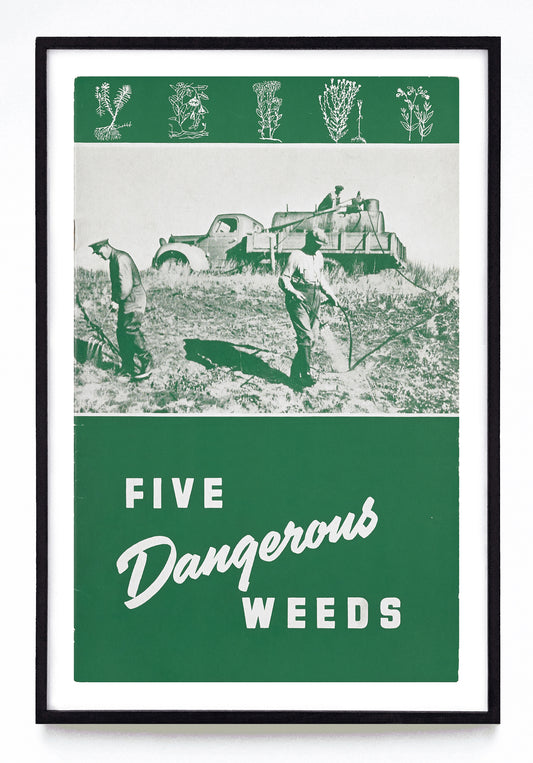 "Five Dangerous Weeds" print (1944)