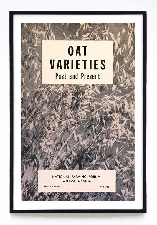 "Oat Varieties Past and Present" print (1953)