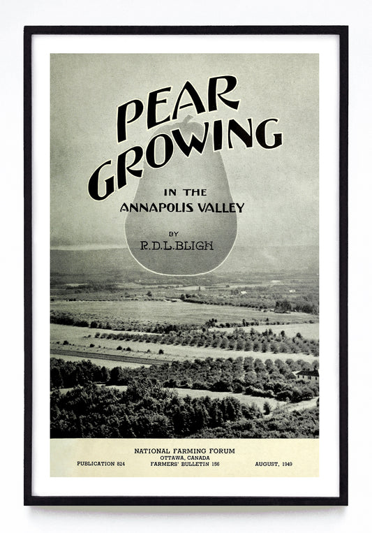 "Pear Growing in the Annapolis Valley" print (1949)