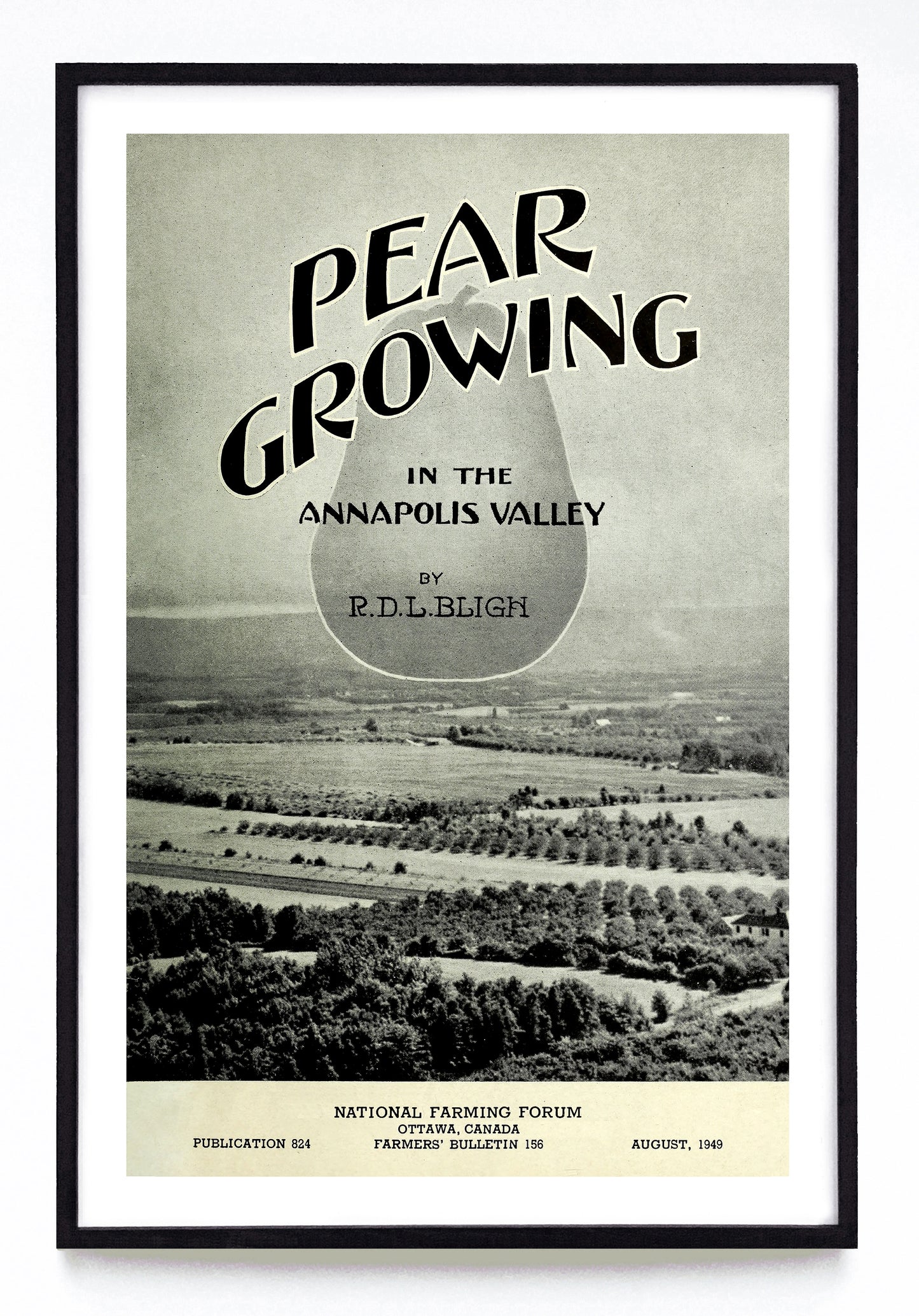 "Pear Growing in the Annapolis Valley" print (1949)