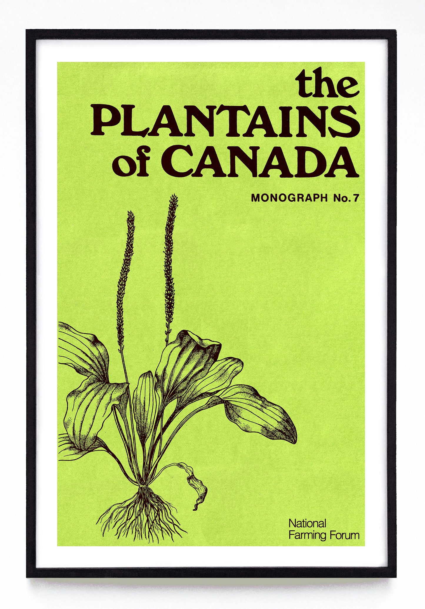 "The Plantains of Canada" print (1973)