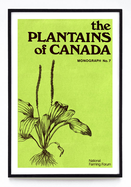 "The Plantains of Canada" print (1973)