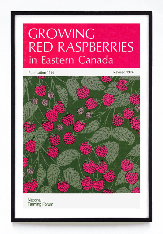 "Growing Red Raspberries in Eastern Canada" print (1974)