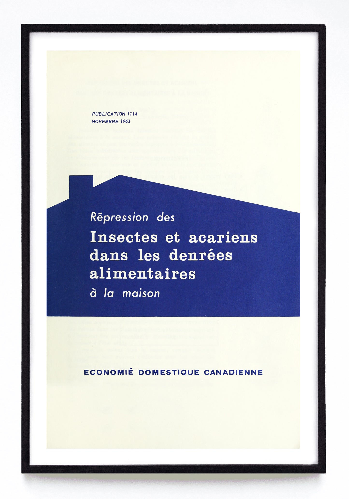 "Répression des Insectes et Acariens Dans les Denrées Alimentaires à la Maison" print (1963)