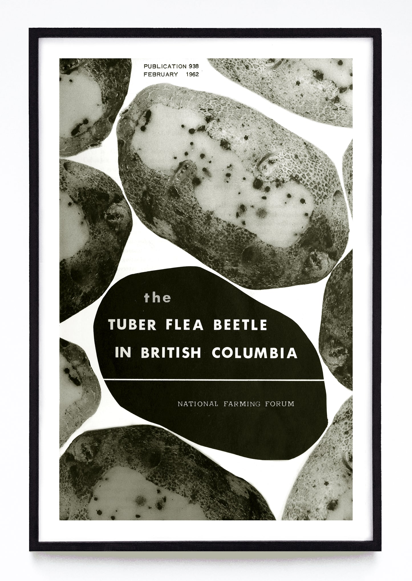 "The Tuber Flea Beetle in British Columbia" print (1962)