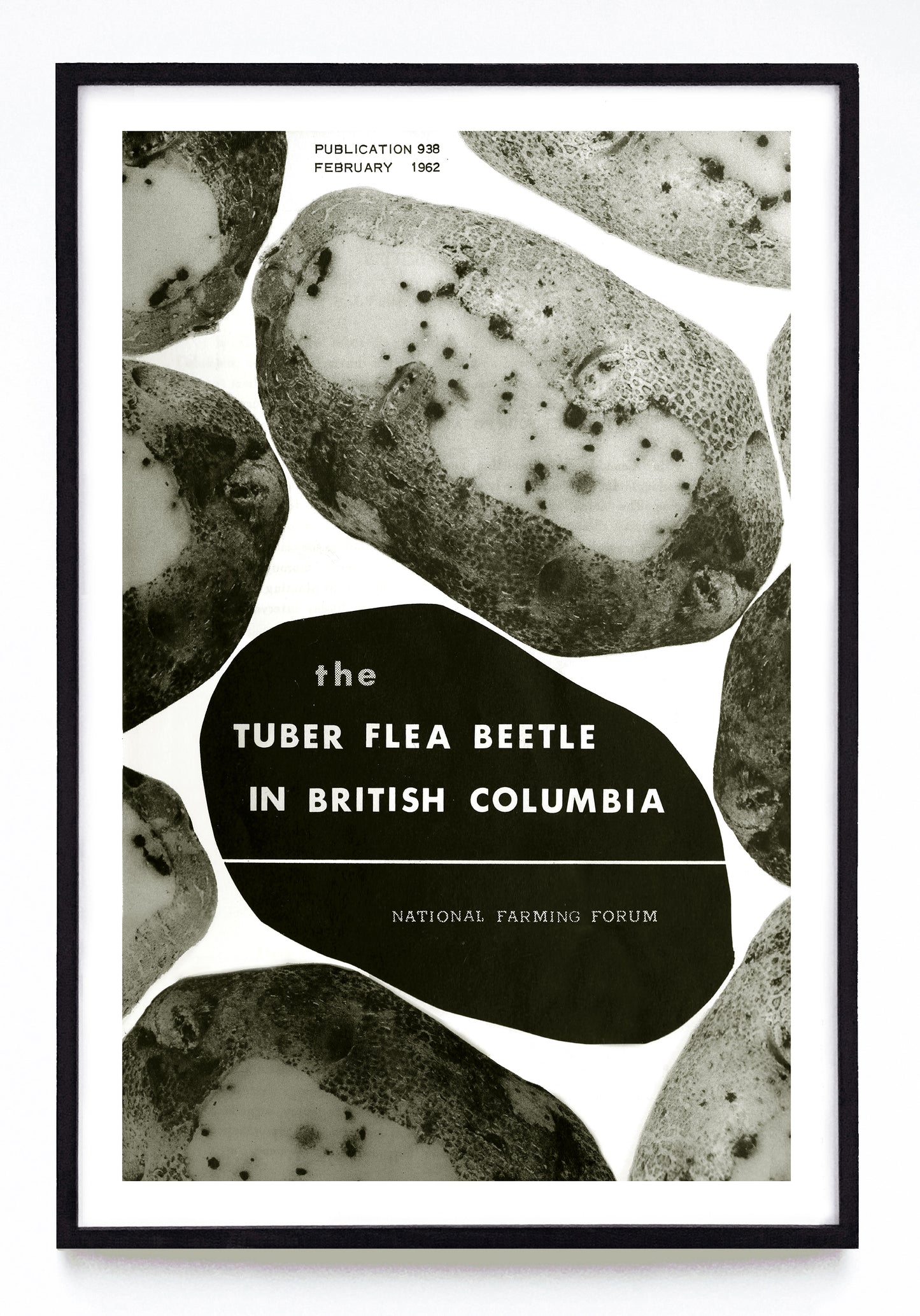 "the Tuber Flea Beetle in British Columbia" print (1962)
