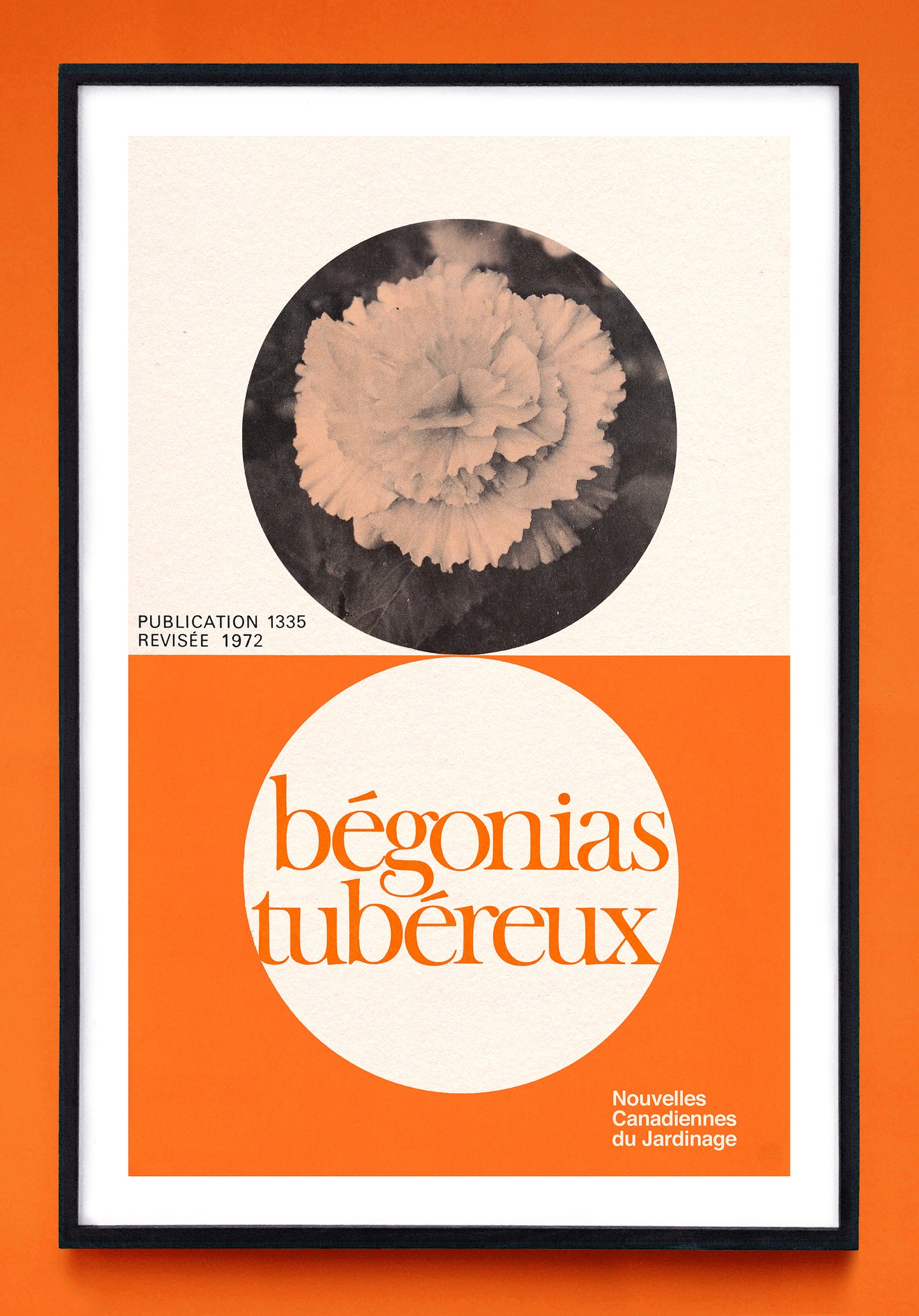 "Tuberous Begonias" and "Bégonias Tubéreux" prints (1972)