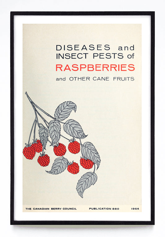 "Diseases and Insect Pests of Raspberries and Other Cane Fruits" and "Maladies et Insectes des Framboisiers et Autres Ronces" prints (1964, 1965)
