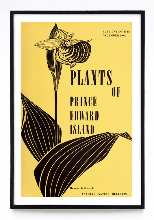 "Plants of Prince Edward Island" print (1960)