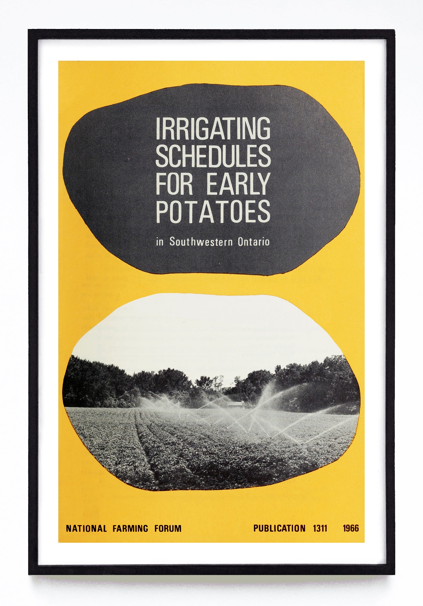 "Irrigating Schedules for Early Potatoes in Southwestern Ontario" print (1966)