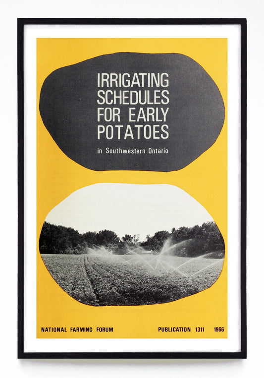 "Irrigating Schedules for Early Potatoes in Southwestern Ontario" print (1966)