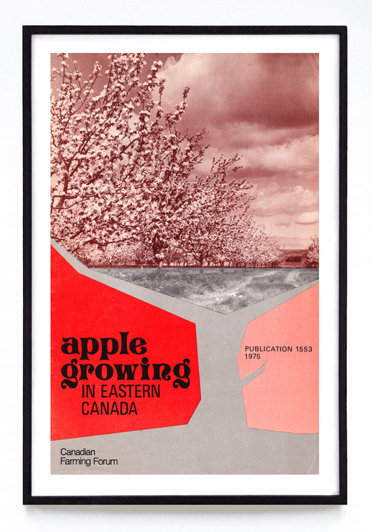 "Apple Growing in Eastern Canada" print (1975)