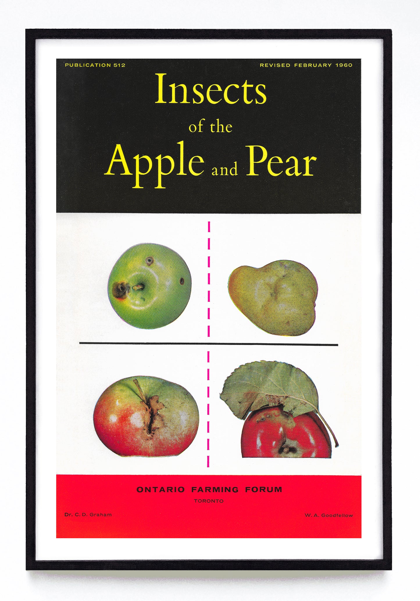 "Insects of the Apple and Pear" print (1960)