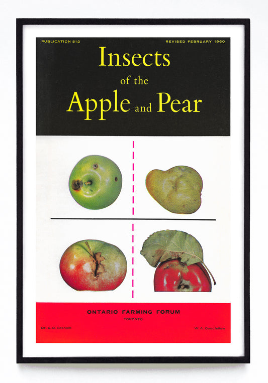 "Insects of the Apple and Pear" print (1960)
