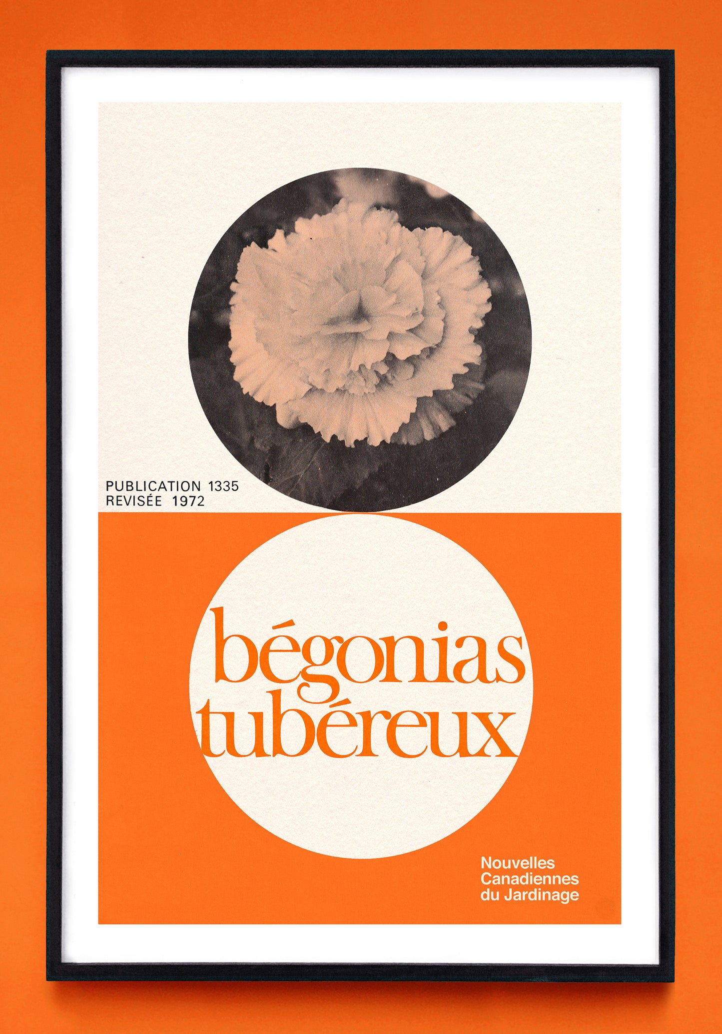"Tuberous Begonias" and "Bégonias Tubéreux" prints (1972)
