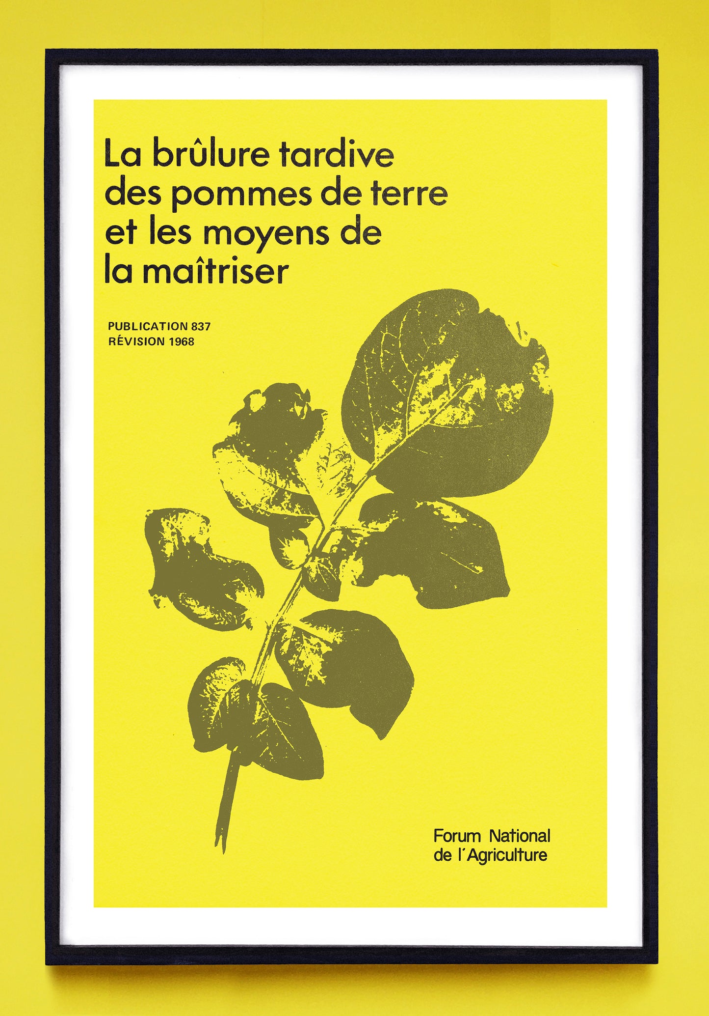 "Late Blight of Potatoes and its Control" and "La Brûlure Tardive des Pommes de Terre et les Moyens de la Maîtriser" prints (1968)