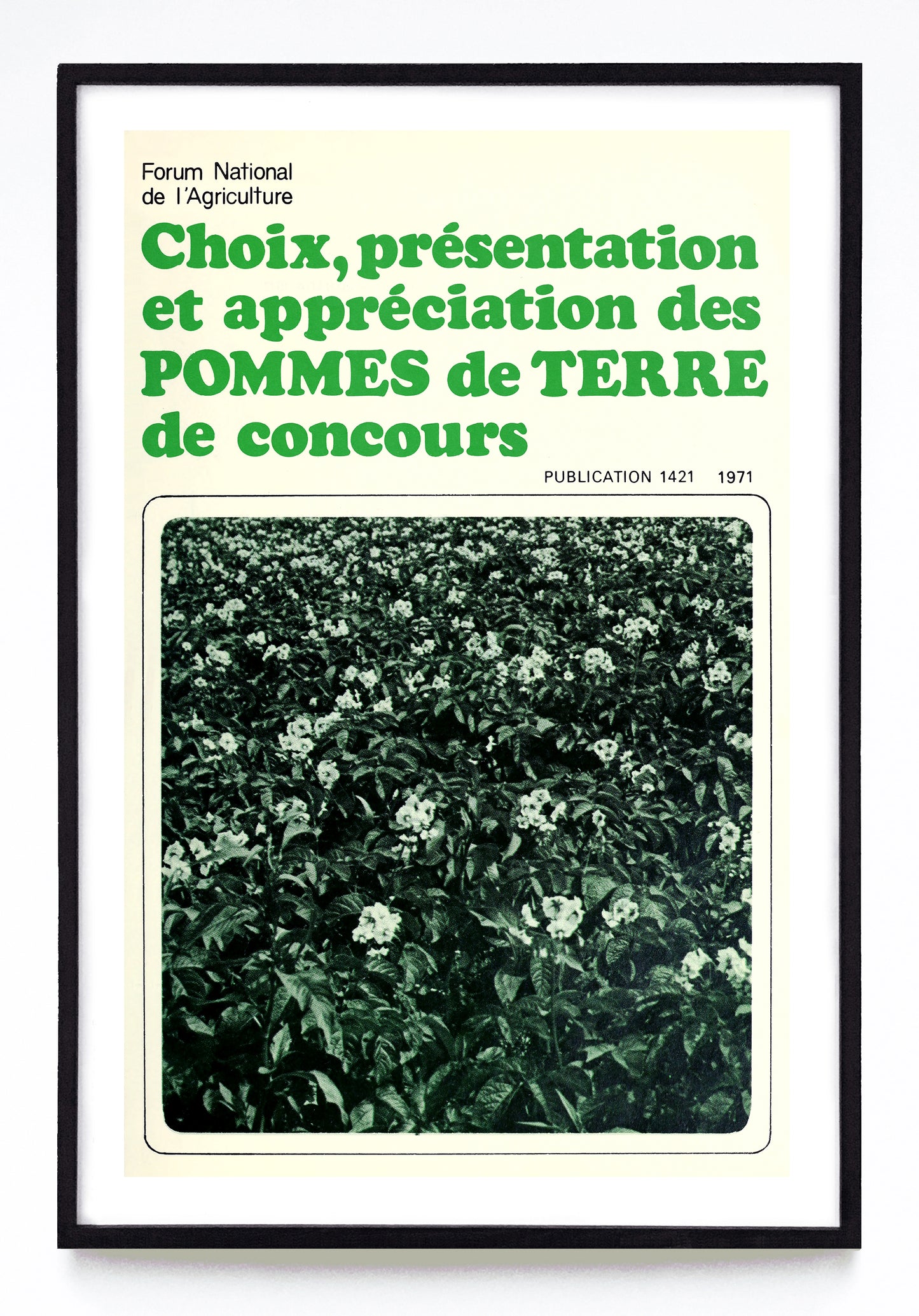 "Selecting, Exhibiting & Judging Potatoes" and "Choix, Présentation et Appréciation des Pommes de Terre de Concours" prints (1970, 1971)