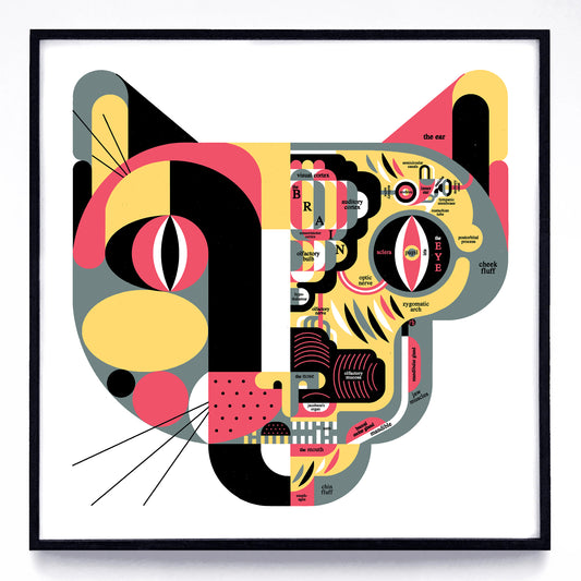 "Feline Anatomy" print
