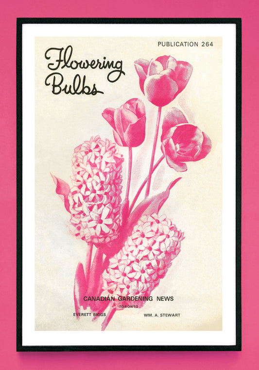 "Flowering Bulbs" print (1965)