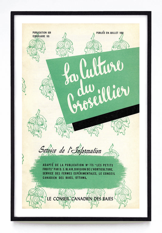 "La Culture du Groseillier" print (1950)