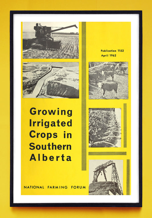"Growing Irrigated Crops in Southern Alberta" print (1962)
