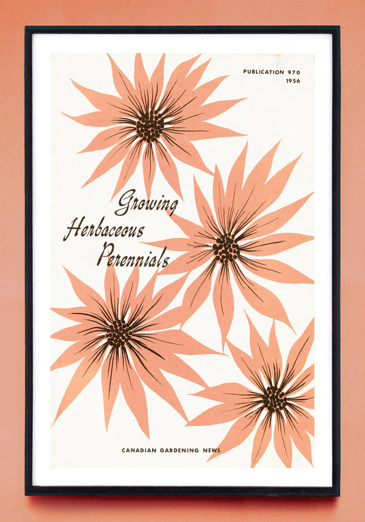 "Growing Herbaceous Perennials" print (1956)