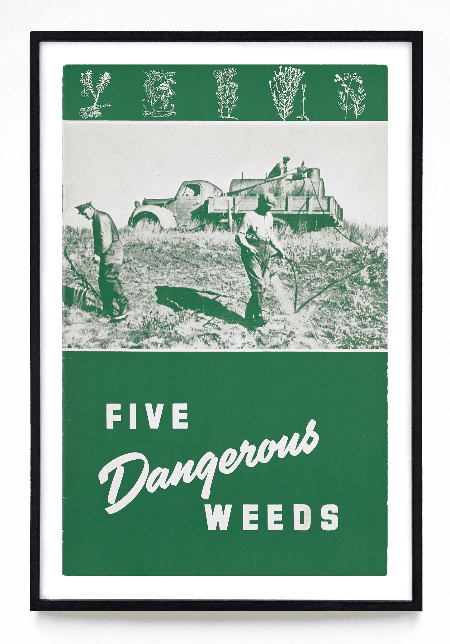 "Five Dangerous Weeds" print (1944)