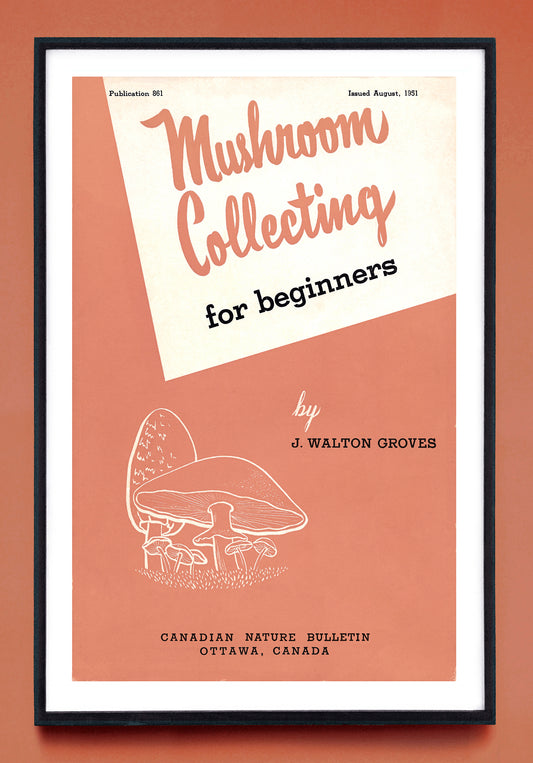 "Mushroom Collecting for Beginners" print (1951)