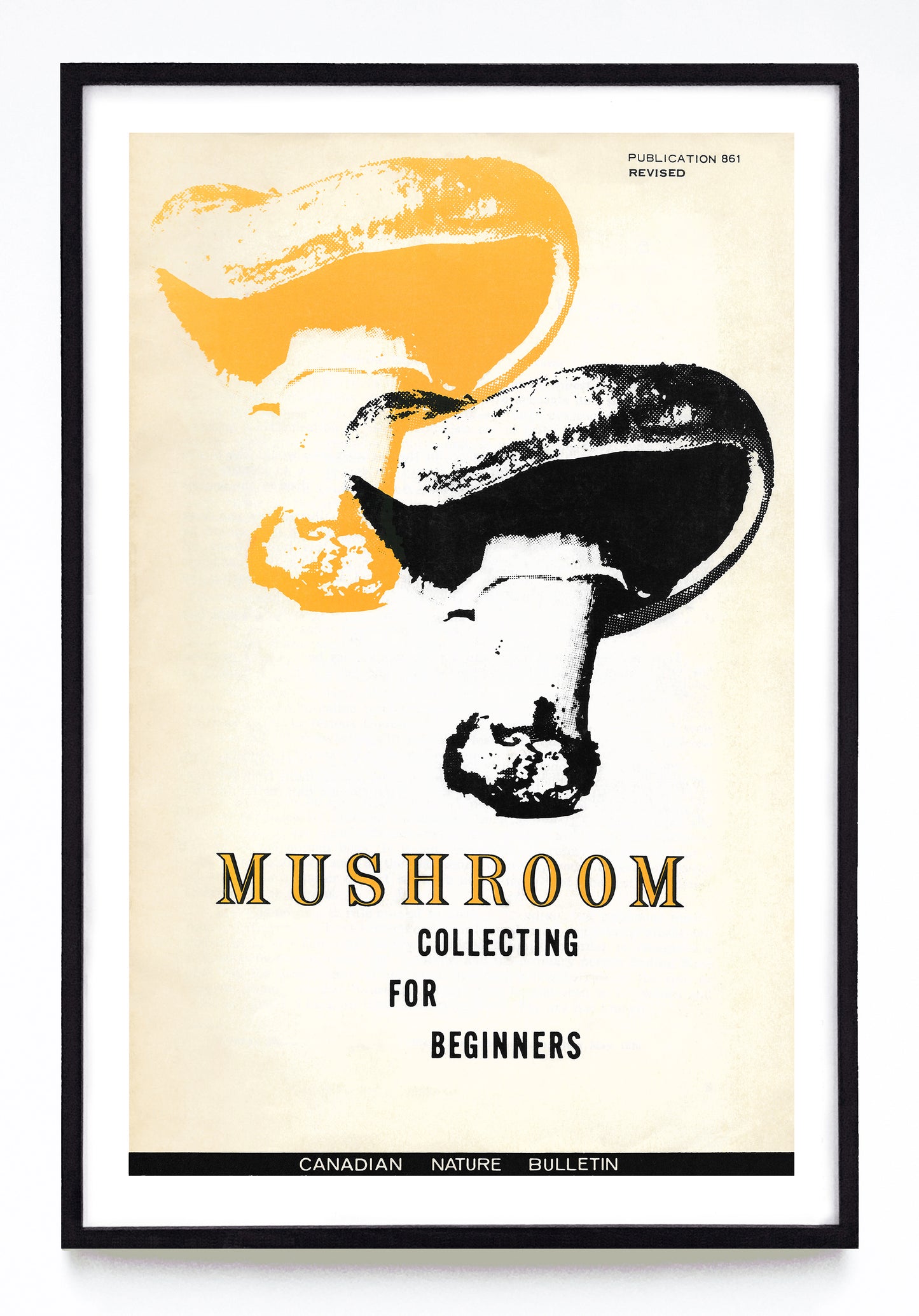 "Mushroom Collecting for Beginners" print (1971)