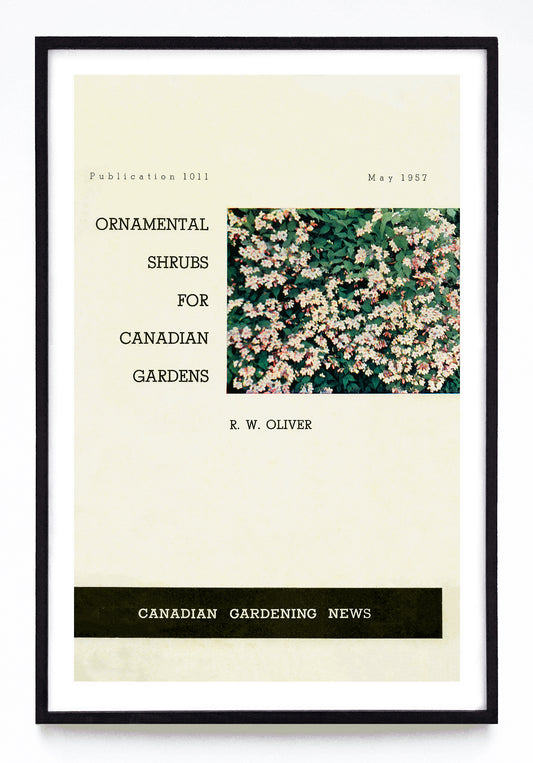 "Ornamental Shrubs for Canadian Gardens" prints (1957)