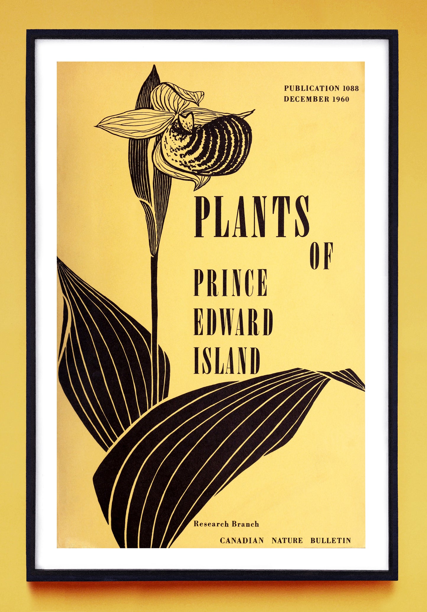 "Plants of Prince Edward Island" print (1960)