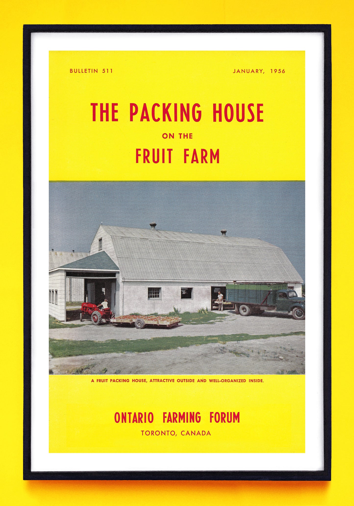 "The Packing House on the Fruit Farm" print (1955)