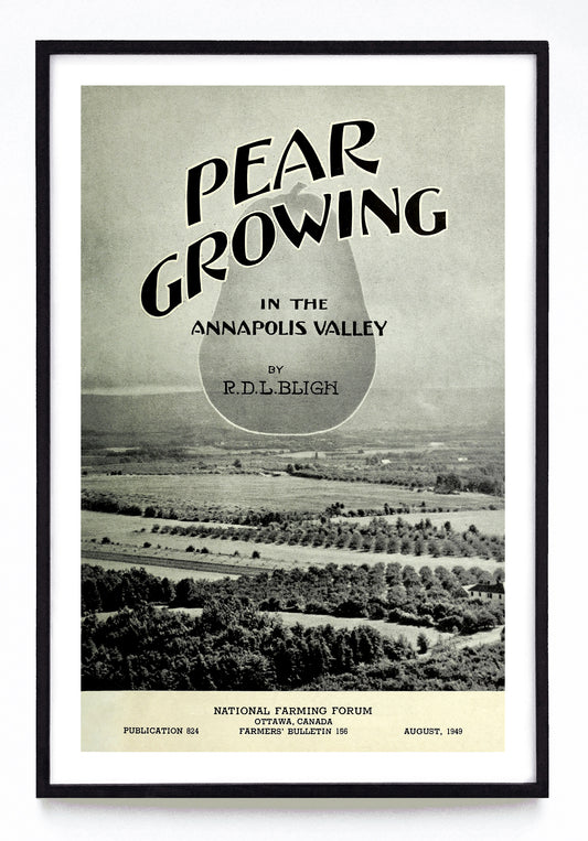 "Pear Growing in the Annapolis Valley" print (1949)