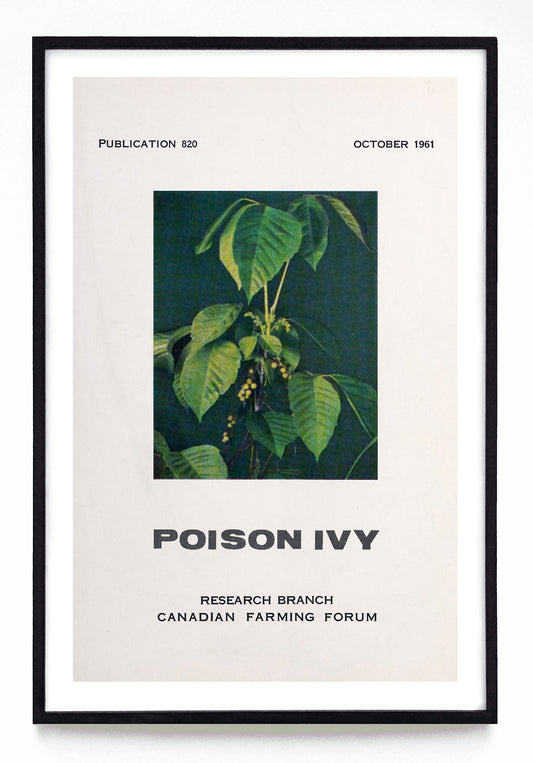 "Poison Ivy" print (1961)