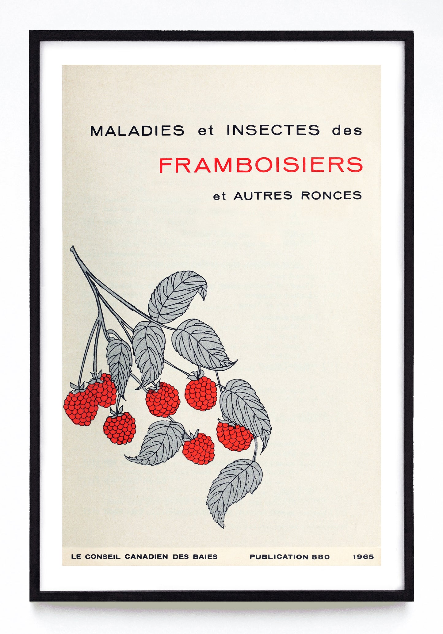 "Diseases and Insect Pests of Raspberries and Other Cane Fruits" and "Maladies et Insectes des Framboisiers et Autres Ronces" prints (1964, 1965)