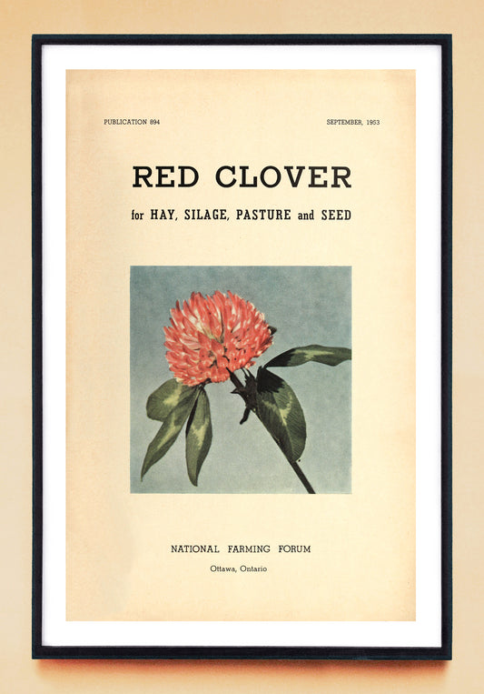 "Red Clover for Hay, Silage, Pasture and Seed" print (1953)