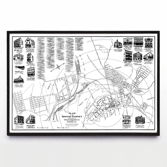 “Plan of the Town of Sydney” print by McAlpine Publishing Co. Ltd (1902)